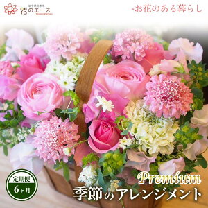 yӂ邳Ɣ[Łzy6ցzG߂̂܂t[AWg v~A  v[g 蕨 bZ[Wt zBw\ V