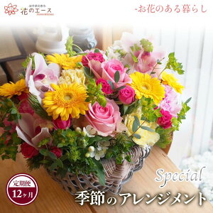 yӂ邳Ɣ[Łzy12ցzG߂̂܂t[AWg XyV  v[g 蕨 bZ[Wt zBw\ V ӂ邳Ɣ[ 