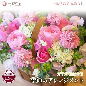 yӂ邳Ɣ[Łzy12ցzG߂̂܂t[AWg v~A  v[g 蕨 bZ[Wt zBw\ V