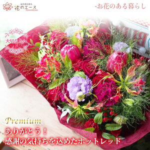 yӂ邳Ɣ[Łzt[AWg 肪ƂIӂ̋C߂zbhbhv~A  v[g 蕨 bZ[Wt zBw\ V