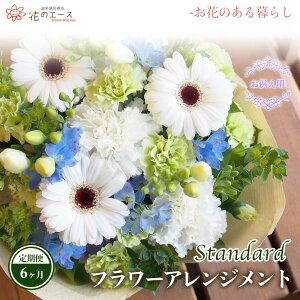 yӂ邳Ɣ[Łzy6ցzt[AWg pt[AWg X^_[h  v[g 蕨 bZ[Wt zBw\ V