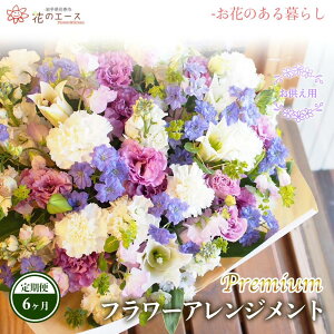 yӂ邳Ɣ[Łzy6ցzt[AWg pt[AWg v~A  v[g 蕨 bZ[Wt zBw\ V