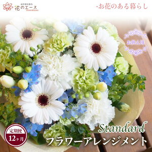 yӂ邳Ɣ[Łzy12ցzt[AWg pt[AWg X^_[h ӂ邳Ɣ[   v[g 蕨 bZ[Wt zBw\ V