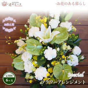 yӂ邳Ɣ[Łzy6ցzt[AWg pt[AWg XyV  v[g 蕨 bZ[Wt zBw\ V