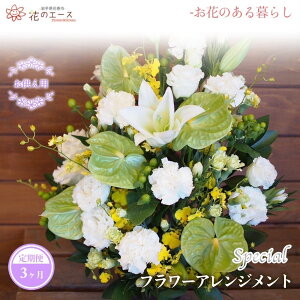 yӂ邳Ɣ[Łzy3ցzt[AWg pt[AWg XyV  v[g 蕨 bZ[Wt zBw\ V