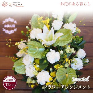 yӂ邳Ɣ[Łzy12ցzt[AWg pt[AWg XyV  v[g 蕨 bZ[Wt zBw\ V