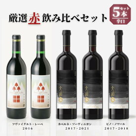 【ふるさと納税】 「早池峰の恵み」モリタワイン ダム貯蔵熟成 「赤」年代別飲み比べコンプリート5本セット【数量限定】 飲み比べ 赤ワイン 花巻市 ダム 岩手県 早池峰 田瀬
