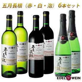 【ふるさと納税】五月長根6本セット （赤ワイン・白ワイン・スパークリングワイン） エーデルワイン