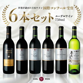 【ふるさと納税】国際ワインコンクール受賞 6本セット 赤 白（750ml×6本）辛口 エーデルワイン ふるさと納税 ワイン