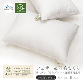 【ふるさと納税】枕 フェザー＆ダウンピロー ゆったりサイズ ［ サステナブルな羽根と羽毛×抗菌防臭生地］ 抗菌防臭加工 日本製 寝具 新生活 まくら