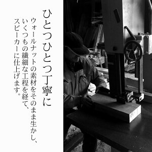 【ふるさと納税】Swooder(スウーダー)BasicWウォールナット国内TV番組、雑誌などで多数紹介!