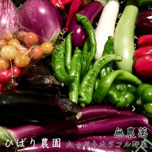 【ふるさと納税】ひばり農園の無農薬カラフル野菜《予約受付中》※6月〜11月に順次発送予定