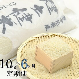 楽天市場 ふるさと納税米10キロ 定期便の通販