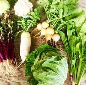 【ふるさと納税】ひばり農園たっぷり無農薬カラフル野菜《予約受付中》※6月より順次発送予定