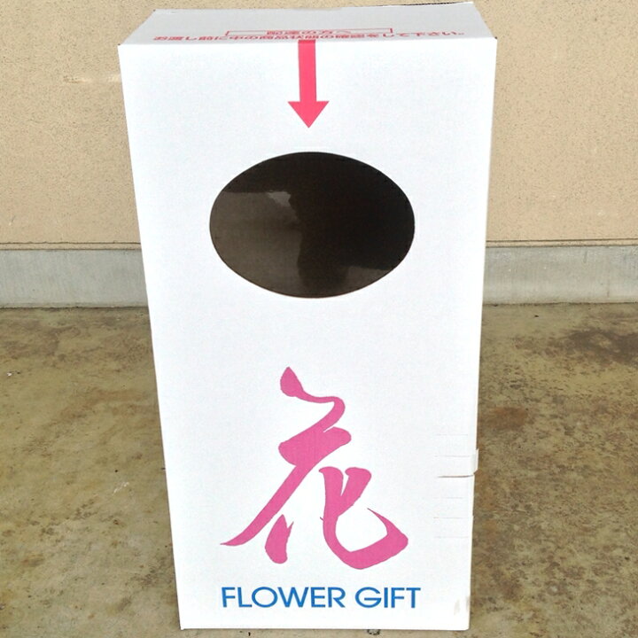 楽天市場 ふるさと納税 鉢花りんどう 花巻銀河ブルー５号鉢 母の日 ギフト お花 岩手県花巻市