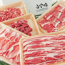 【ふるさと納税】白金豚の2人de5種食べ比べセット 豚肉 ブランド肉