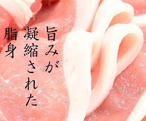 記事番号:34331/アイテムID:146706の画像