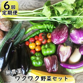 【ふるさと納税】【定期便 6回】 ひばり農園の無農薬ワクワク 野菜セット 《予約受付 6月より発送開始》 ふるさと納税 野菜 定期便