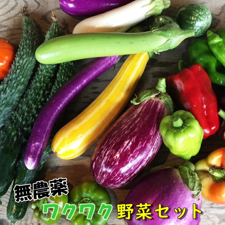 楽天市場 ふるさと納税 ひばり農園の無農薬ワクワク野菜セット お楽しみ 野菜 詰め合わせ 7 10品 先行予約受付 7月 8月発送 岩手県花巻市