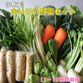 【ふるさと納税】花巻産おいしい野菜セット 12〜16種類前後