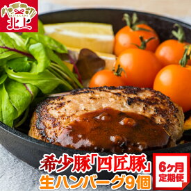 【ふるさと納税】定期便/6ヶ月 北上まきさわ工房 希少豚 生ハンバーグ 9個セット 冷凍 四匠豚 オリジナルポーク ごはんに合う 贈り物 ギフト 贈答 北上観光コンベンション協会 アクセス