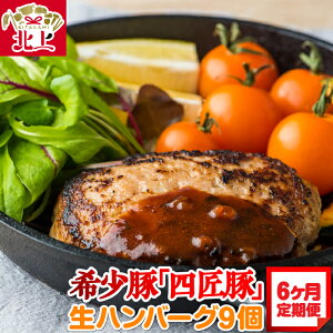 yӂ邳Ɣ[Łz/6 k܂H[ 󏭓 no[O 9Zbg Ⓚ l IWi|[N ͂ɍ 蕨 Mtg  kόRxV ANZX