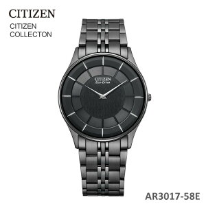 yӂ邳Ɣ[ŁzV`Y rv CITIZEN V`YRNV AR3017-58E Y v v[g Mtg  蕨 a LO j ̓ \[[ 茧 ks R0132 vX 