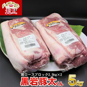yӂ邳Ɣ[Łz  ؑ  I ؓ [X ubN  5kg (2.5kg×2)     BBQ o[xL[ [X ubN 󏭓 茧Y 낢 Yn NPO@l ̍