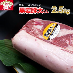 yӂ邳Ɣ[Łz  ؑ  I ؓ [X ubN  2.5kg (2.5kg×1)     BBQ o[xL[ [X ubN 󏭓 茧Y 낢 Yn NPO@l 