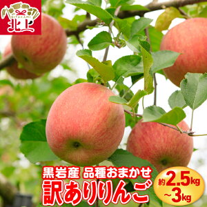 yӂ邳Ɣ[Łz󂠂  2.5` 3kg Y i ܂ L Y  S ь VN ʎ t[c 茧 ks C0605 Yn  낢Yn 󂠂 ƒp