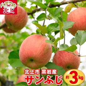 【ふるさと納税】岩手産 りんご ( サンふじ ) 約 3kg 国産 新鮮 産地直送 北上 黒岩産 林檎 フルーツ 果実 果物 リンゴ サンフジ フルーツ お歳暮 ギフト プレゼント 贈り物 産地直送 送料無料 岩手県 北上市 D0542 くろいわ産地直売所 ( NPO法人 明日の黒岩を築く会 )