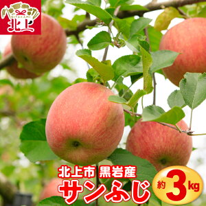 【ふるさと納税】岩手産 りんご ( サンふじ ) 約 3kg 国産 新鮮 産地直送 北上 黒岩産 林檎 フルーツ 果実 果物 リンゴ サンフジ フルーツ お歳暮 ギフト プレゼント 贈り物 産地直送 送料無料