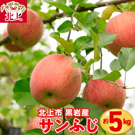 【ふるさと納税】りんご ( サンふじ ) 約 5kg 【 12月 ～発送開始予定 】 岩手産 国産 新鮮 産地直送 北上市 黒岩産 リンゴ 林檎 フルーツ 果実 果物 サンフジ お歳暮 ギフト 贈り物 プレゼント 産地直送 送料無料 岩手県 北上市 E0310 くろいわ産地直売所