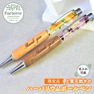 yӂ邳Ɣ[Łz yiz ㎿VR؂̃n[oE{[y   j ̓ LO v[g n[oE [  MLp pen {[y a w  