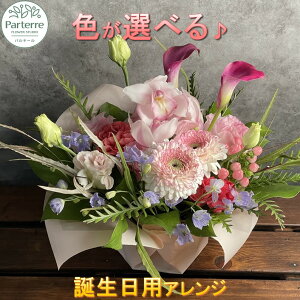 yӂ邳Ɣ[Łzaɑ  G߂̃t[AWg Birthday  a FIׂ j ̓ LO v[g ʉ   ԑ 蕨 C[WJ[ ԍH