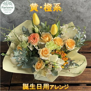 yӂ邳Ɣ[Łzaɑ  G߂̃t[AWg Birthday  a FIׂ j ̓ LO v[g ʉ   ԑ 蕨 C[WJ[ ԍH