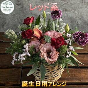 yӂ邳Ɣ[Łzaɑ  G߂̃t[AWg Birthday  a FIׂ j ̓ LO v[g ʉ   ԑ 蕨 C[WJ[ ԍH