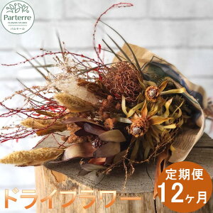 yӂ邳Ɣ[Łzy / 12z  hCt[   pe[ւt  j LO 蕨   CeA  Xg[ rO  G v[