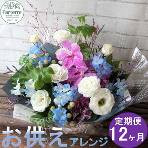 yӂ邳Ɣ[Łz y/12z S炮 t[AWg ()   @  l\ S  O O\O  Hފ tފ   