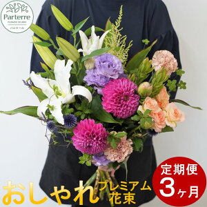 yӂ邳Ɣ[Łz/3  G߂̉ԑ v~A  pe[ ւt t[AWg j LO 蕨 v[g  ԑ ԍH[pe[