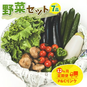 yӂ邳Ɣ[Łz  Zbg {  lߍ킹 Iׂ   1 ` 12 ؃Zbg Vs t VN   k  LO 1 I o[xL[ BBQ  ~ t