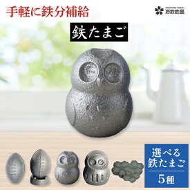 【ふるさと納税】【 鉄分 補給 に！】 鉄たまご 【選べる種類】岩鉄 鉄タマゴ 鉄 貧血対策 妊産婦 授乳中 成長期 のお子様 ダイエット 中 お味噌汁 お茶 白湯 鉄欠乏性貧血 鉄欠乏 黒豆 つや出し 贈り物 プレゼント 岩鉄鉄器 岩手製鉄