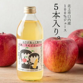 【ふるさと納税】果汁100％ リンゴジュース （ 350ml × 5本 ） 林檎 金成園