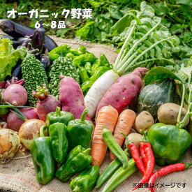 【ふるさと納税】予約受付 ＼2025年7月発送開始予定／ 収穫したての 新鮮野菜 ！ オーガニック 野菜セット 6〜8品 農家 採れたて こだわり 神楽農園