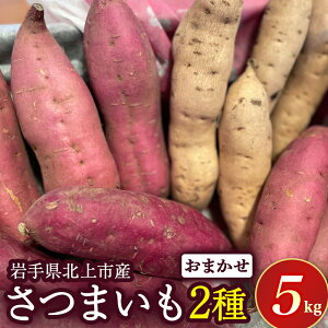 yӂ邳Ɣ[Łzy\t 2025NY z ؃\G VZNguVvHZbg ܂ 2 ( 5kg ) Zbg Y  Tc}C   Zbg VNXC[g p[vXC[g 