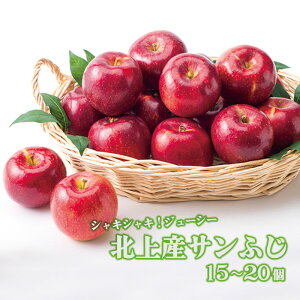 yӂ邳Ɣ[ŁzkY ʏ`Ղ Tӂ  15`20 Y  S ь Abv { ʕ t[c 茧 ks C0097 fruit  ̂ꂽ tbV W[V[  v