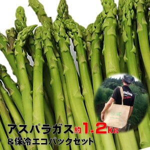 yӂ邳Ɣ[Łz ̂肽 Ă AXpKX  1.2kg IWi ۗ GRobO Zbg   VN  O[ AXp Yn Y s TCY AXpq Έ䌚 