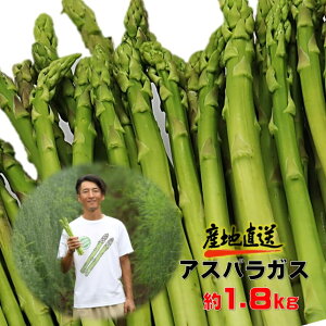 yӂ邳Ɣ[Łẑ肽 Ă AXpKX  1.8kg VN  O[ AXp Yn Y 茧 ksY { s TCY AXpq Έ䌚 茧 ks D0432  