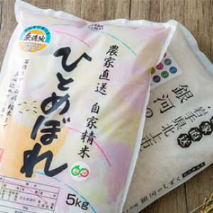 【ふるさと納税】令和7年産 新米 北上産 銀河のしずく ・ ひとめぼれ 各 5kg (合計 10kg )セット 無洗米 お米 ご飯 食べ比べ 国産 産地直送 ブランド米 オリジナル 品種 千田さん の お米 岩手県