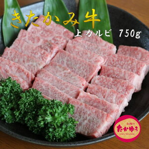 yӂ邳Ɣ[Łz Y a ݋ Jrēp 750g ʌ A5 A4 lC   Ε YN p Jr Jr Ya 茧ks H0010 î䂤jN